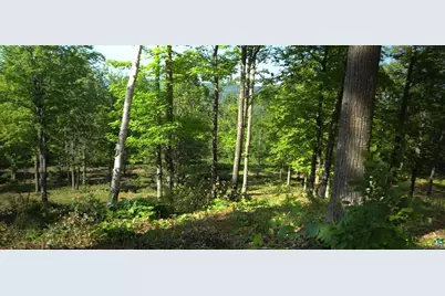 83Xxx Ashwabay Heights Rd, Bayfield, WI 54814 - Photo 6