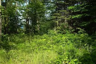 83Xxx Ashwabay Heights Rd, Bayfield, WI 54814 - Photo 2