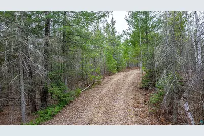 9999 Lindbeck Rd, Ely, MN 55731 - Photo 12