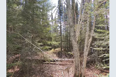 76Xx Gunflint Tr, Grand Marais, MN 55604 - Photo 8