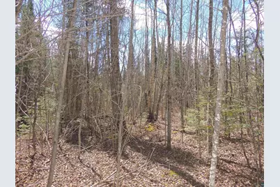 76Xx Gunflint Tr, Grand Marais, MN 55604 - Photo 12