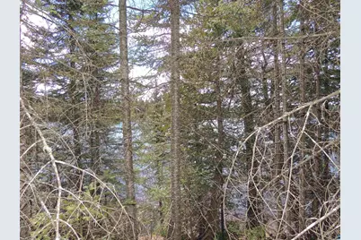 76Xx Gunflint Tr, Grand Marais, MN 55604 - Photo 6