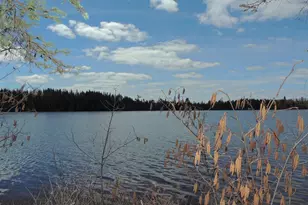 76Xx Gunflint Trail, Grand Marais, MN 55604 - Photo 1