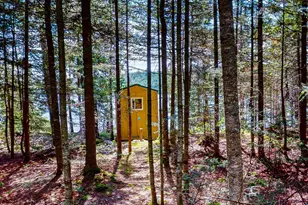 Xx Greenwood Lake Rd, Grand Marais, MN 55604 - Photo 40