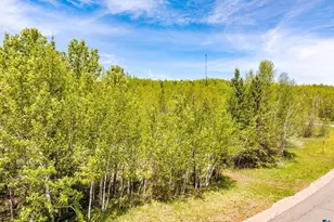 Xx Quincy Dr, Silver Bay, MN 55614 - Photo 1