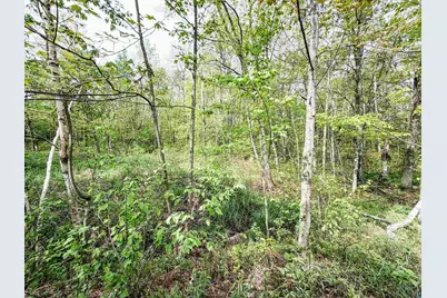 Lot 1 Peterson Rd, Wascott, WI 54859 - Photo 4