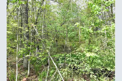 Lot 1 Peterson Rd, Wascott, WI 54859 - Photo 6