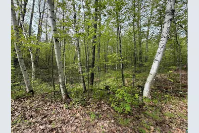 Lot 3 Peterson Rd, Wascott, WI 54859 - Photo 1