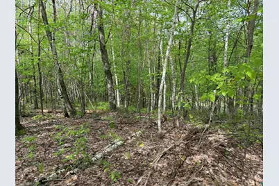 Lot 4 Peterson Rd, Wascott, WI 54859 - Photo 1