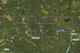 Xxx6 Heffelfinger Trail, Finland, MN 55614 - Photo 1
