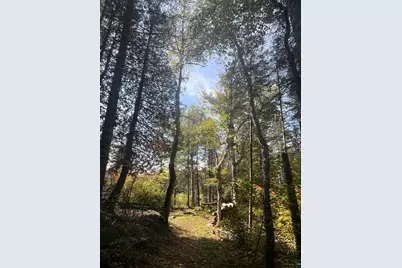 Xxxx Camp 26 Rd, Finland, MN 55603 - Photo 6