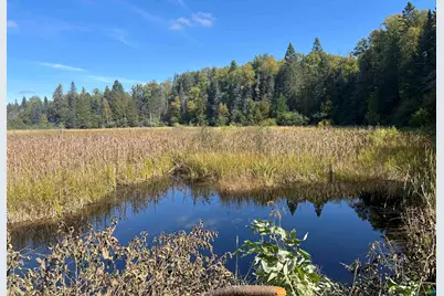 Xxxx Camp 26 Rd, Finland, MN 55603 - Photo 8
