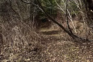 6146 Hwy 61, Silver Bay, MN 55614 - Photo 48