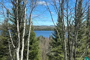 16 Osprey Trail, Lutsen, MN 55612 - Photo 20