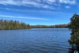 16 Osprey Trail, Lutsen, MN 55612 - Photo 6