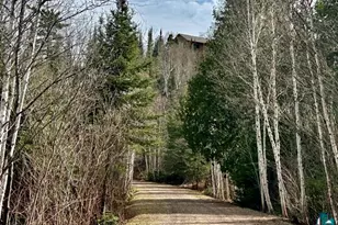 16 Osprey Trail, Lutsen, MN 55612 - Photo 8