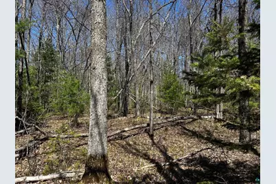 Lot 5 Highway 70, Spooner, WI 54801 - Photo 8
