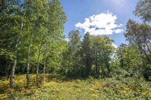 1808 Tom Lake Rd, Hovland, MN 55606 - Photo 28
