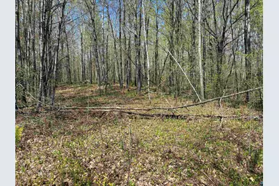 854X W Chub Lake Rd, Carlton, MN 55718 - Photo 6