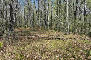 854X W Chub Lake Rd, Carlton, MN 55718 - Photo 6