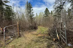 Xx Blueberry Hill Rd, Two Harbors, MN 55616 - Photo 34