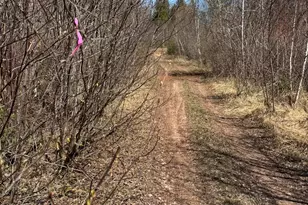 Xx Blueberry Hill Rd, Two Harbors, MN 55616 - Photo 36