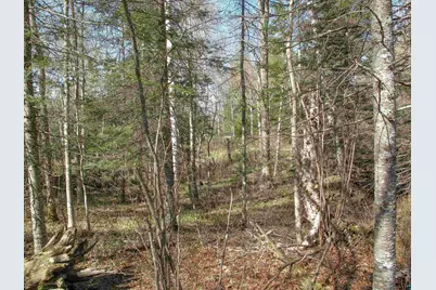 Yyy Big Cedar Trl, Lutsen, MN 55612 - Photo 52