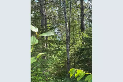 Xx High Ridge Dr, Schroeder, MN 55614 - Photo 10