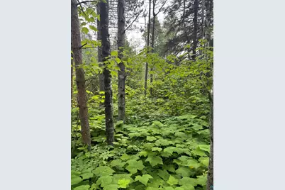 Xx High Ridge Dr, Schroeder, MN 55614 - Photo 4