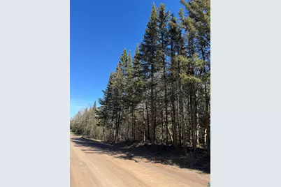 5Xx Lindskog Rd, Grand Marais, MN 55604 - Photo 6