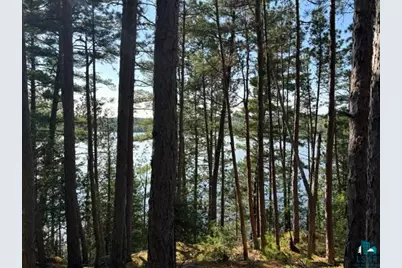 3506 Hanson Lake Rd, Ely, MN 55731 - Photo 16