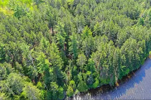 3506 Hanson Lk Rd, Ely, MN 55731 - Photo 1