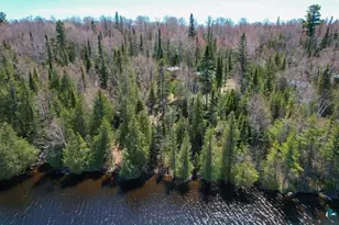 109 Tom Overlook Trail, Hovland, MN 55606 - Photo 46