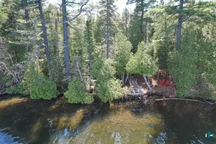 695 Loon Echo Ln, Grand Marais, MN 55604 - Photo 46