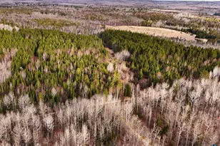 64Xx Bergquist Rd, Duluth, MN 55804 - Photo 1