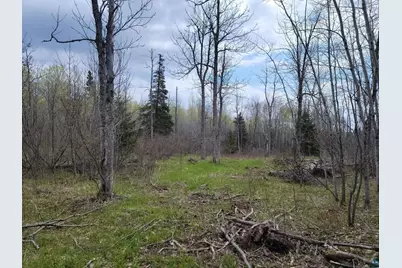 20X Sled Dog Trl, Hovland, MN 55606 - Photo 8