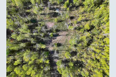 9223 Hwy 61 W, Schroeder Township, MN 55613 - Photo 2