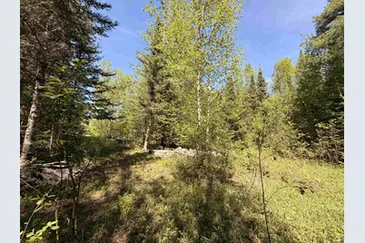 9685 Gunflint Tr, Grand Marais, MN 55604 - Photo 4