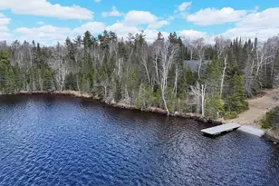 10097 Sister Lake Rd, Finland, MN 55616 - Photo 20