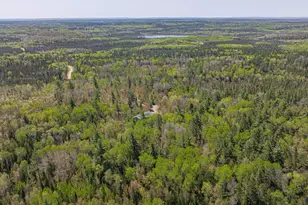 4151 Mud Creek Rd, Ely, MN 55731 - Photo 86