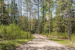 4151 Mud Creek Rd, Ely, MN 55731 - Photo 72