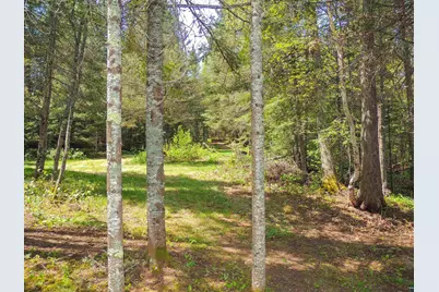 38 Christine Point Rd, Lutsen, MN 55612 - Photo 40