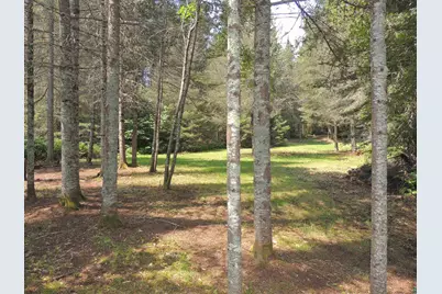 38 Christine Point Rd, Lutsen, MN 55612 - Photo 44