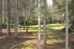 38 Christine Point Rd, Lutsen, MN 55612 - Photo 44