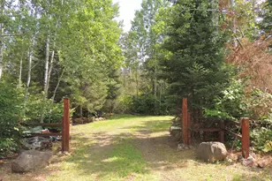 38 Christine Point Rd, Lutsen, MN 55612 - Photo 48