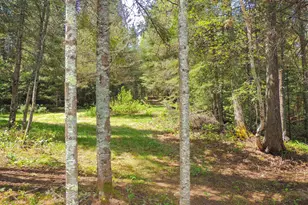 38 Christine Point Rd, Lutsen, MN 55612 - Photo 38