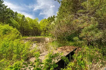 75 E Stark Rd, Esko, MN 55733 - Photo 74