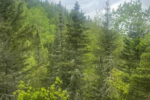 7442 Cramer Rd, Finland, MN 55603 - Photo 24