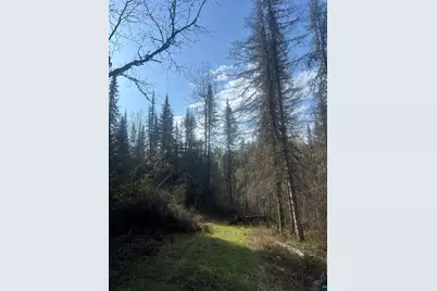 7442 Cramer Rd, Finland, MN 55603 - Photo 26