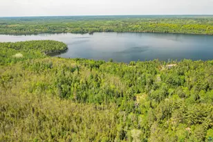 1675 Bradach Rd, Ely, MN 55731 - Photo 54